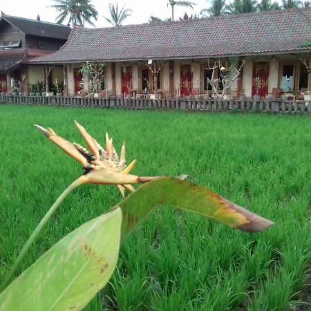 Hotel Rice padi Artha Ubud Esterno foto